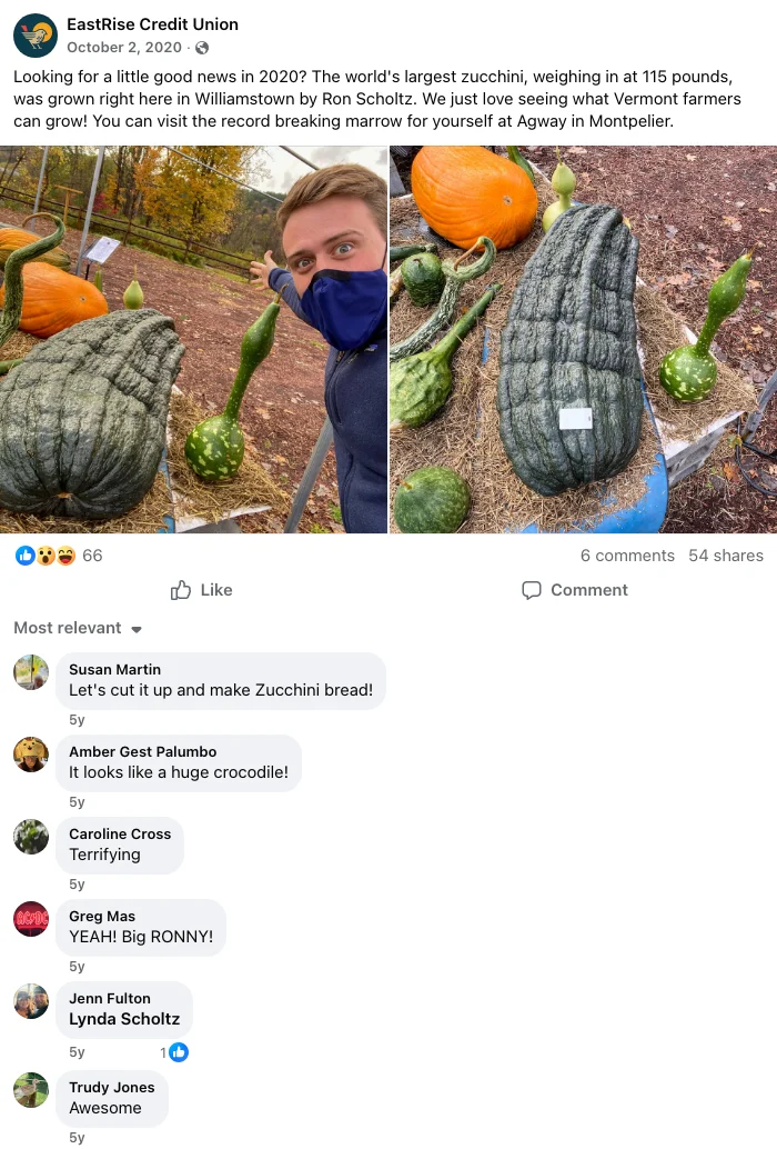 Looking for a little good news in 2020?..., Facebook capture 51 of 51