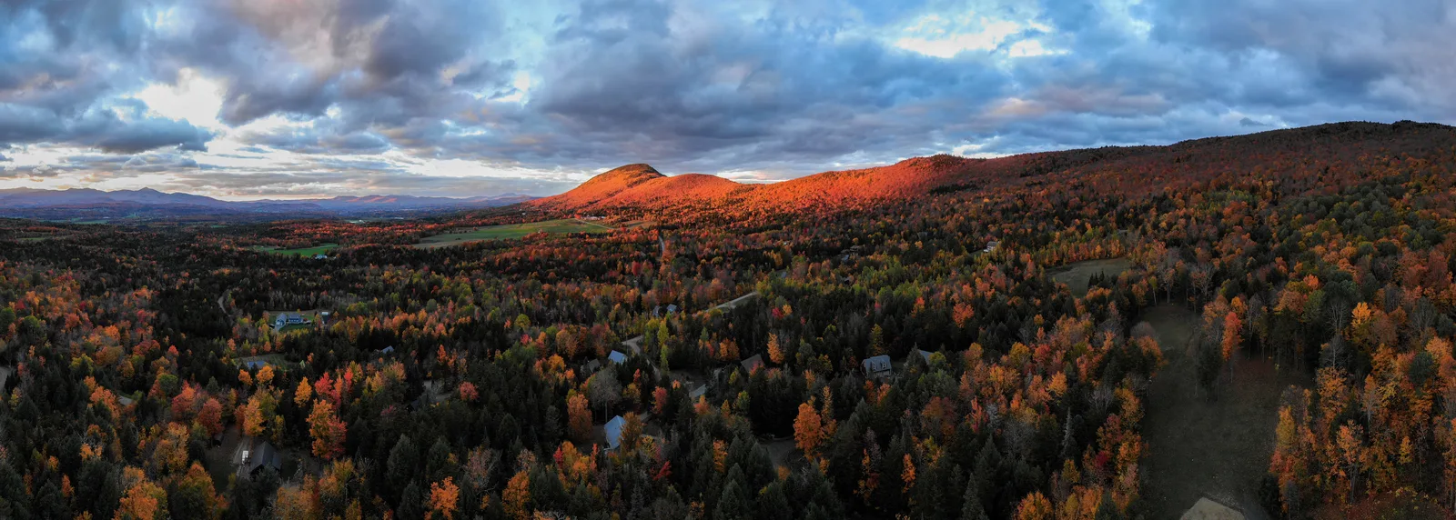 Sunlit mountain ridge rising above a broad forest in peak autumn color