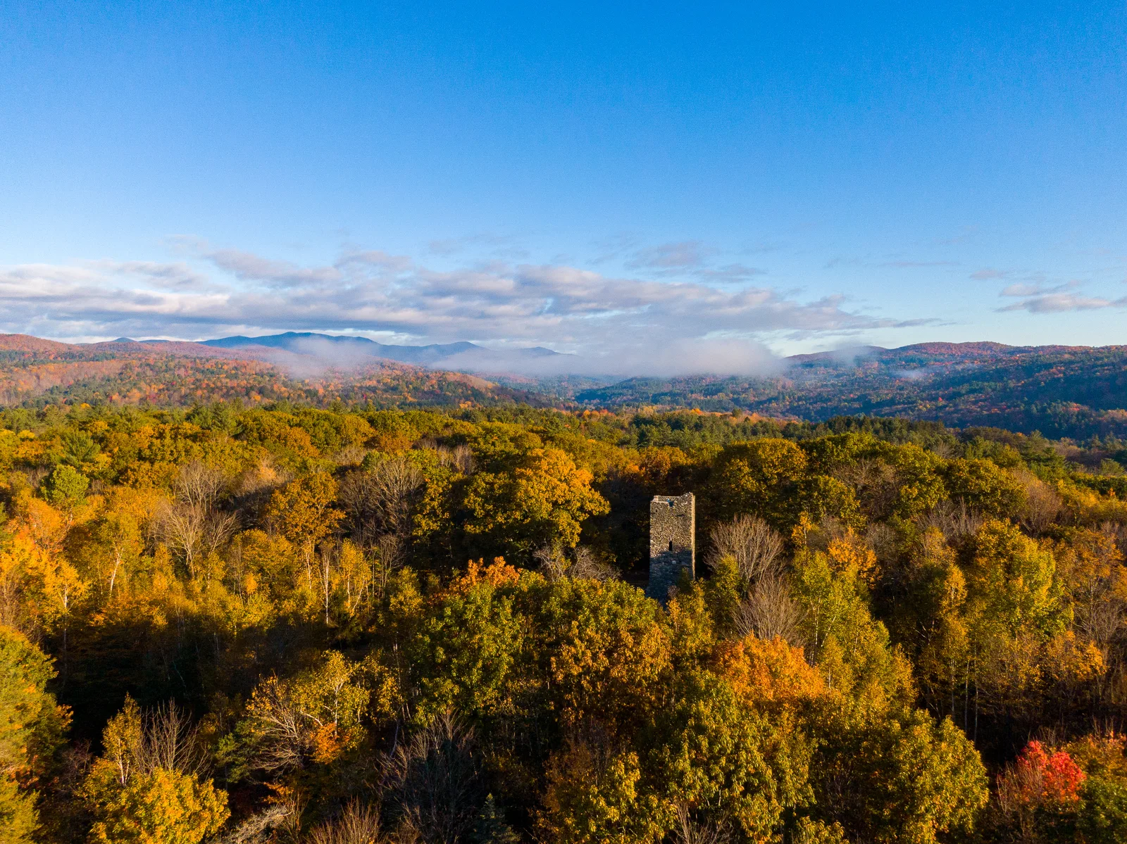 Golden forest canopy stretching toward blue mountain ridges under low clouds