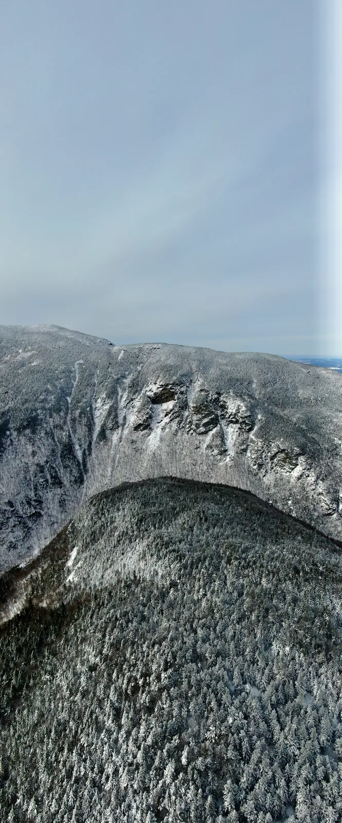 Vertical panorama of snow-covered cliffs and evergreen forest beneath a pale winter sky