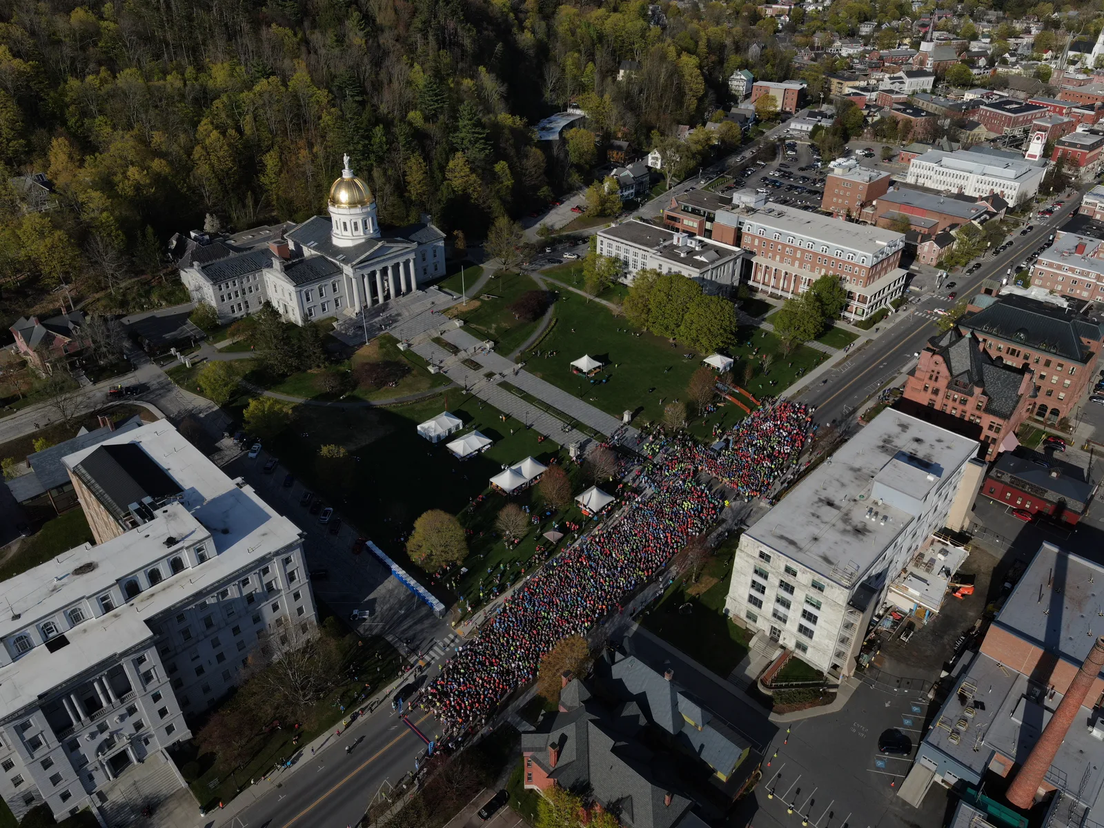 Large crowd filling a street beside the Vermont State House and nearby buildings