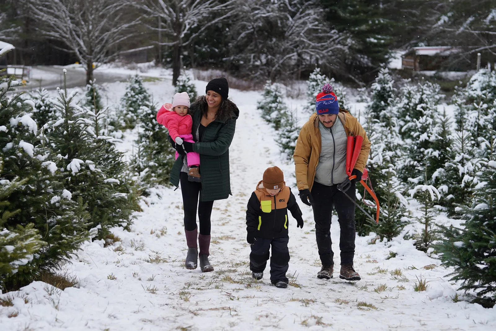 Four people in winter coats walk snowy path between snow-dusted Christmas trees, child in pink carried