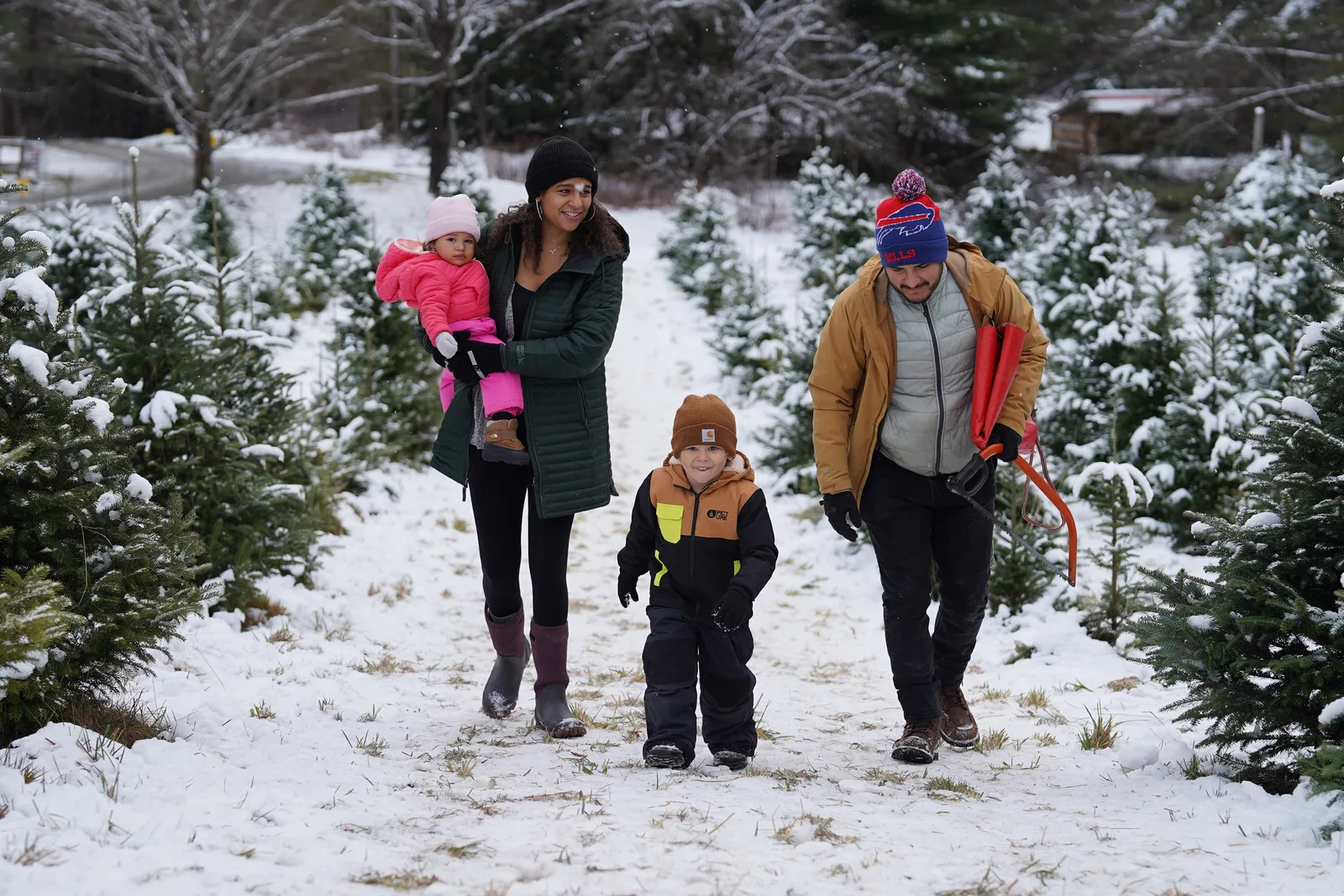 Four in winter coats walk snowy path, child in pink held, red sleds carried, evergreens nearby