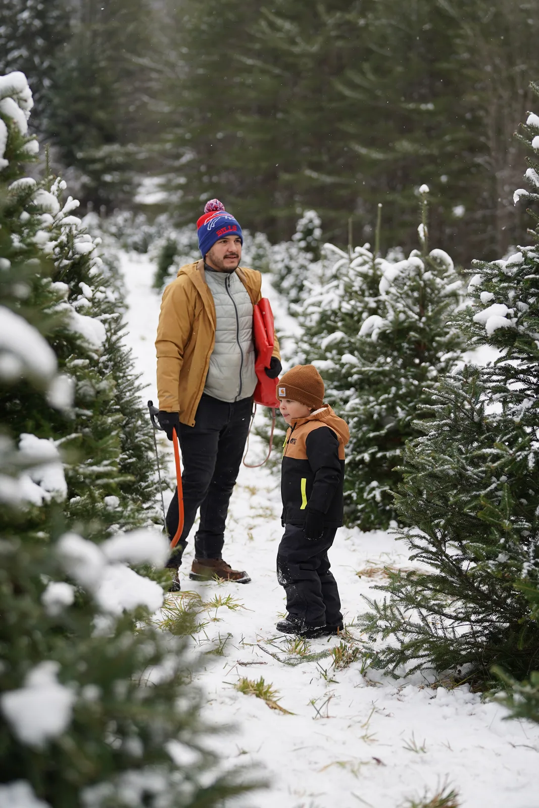 Adult in mustard jacket and blue beanie with pom-pom holding red sled on snowy path
