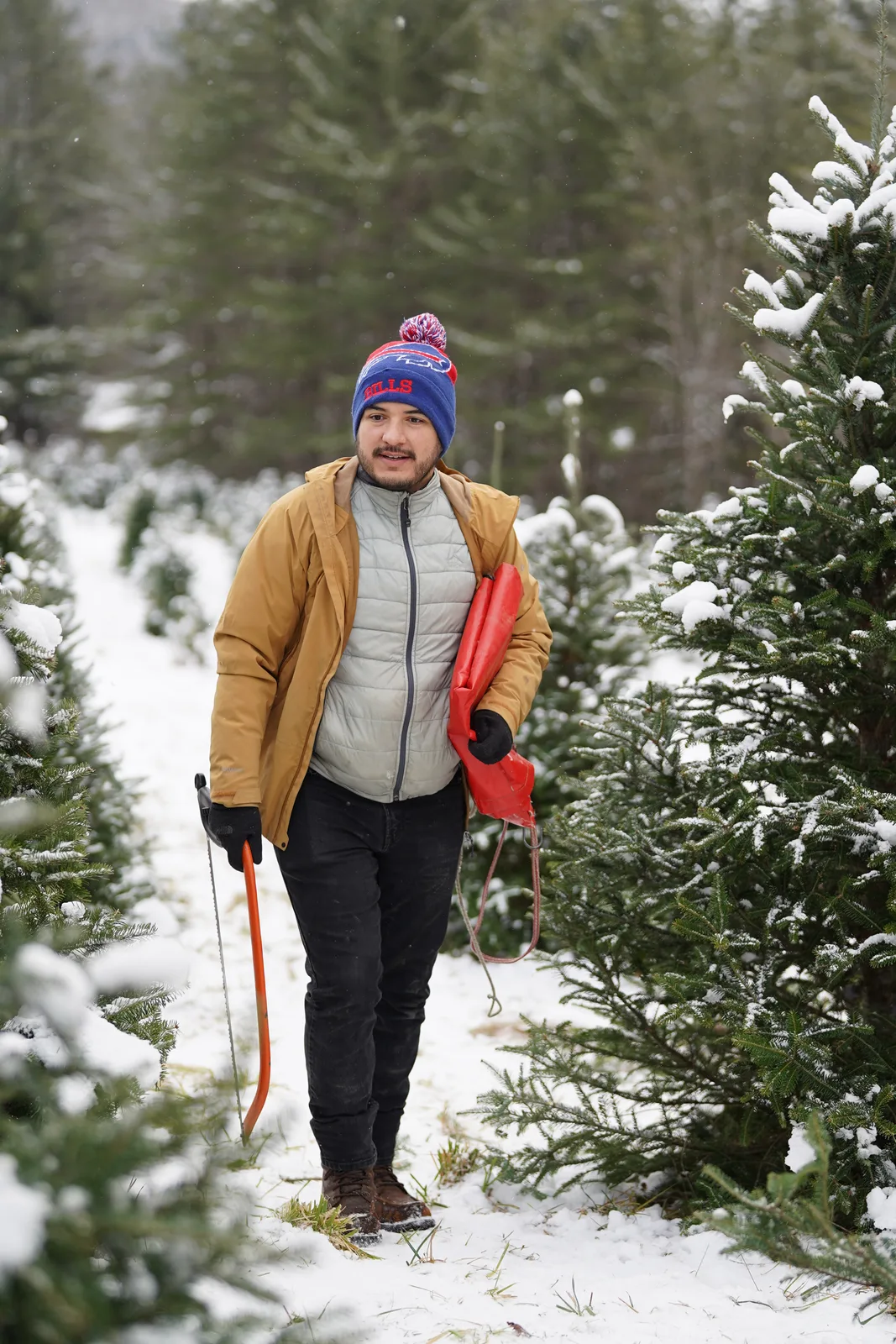 Adult in mustard jacket and blue beanie with pom-pom carrying red sled on snowy path