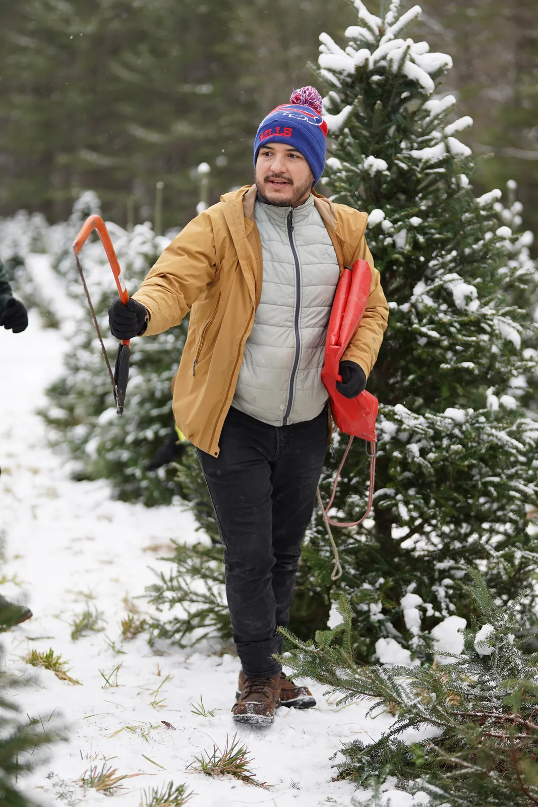 Adult in mustard jacket and blue beanie with pom-pom holding red sled and saw on snowy path