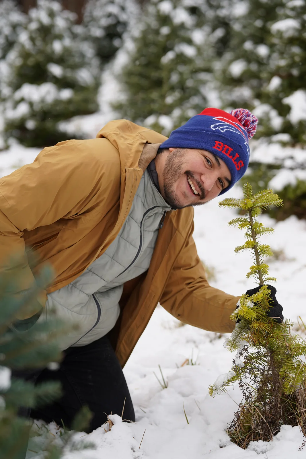 Person in tan jacket and blue beanie with pom-pom inspecting small evergreen among snow-covered trees.