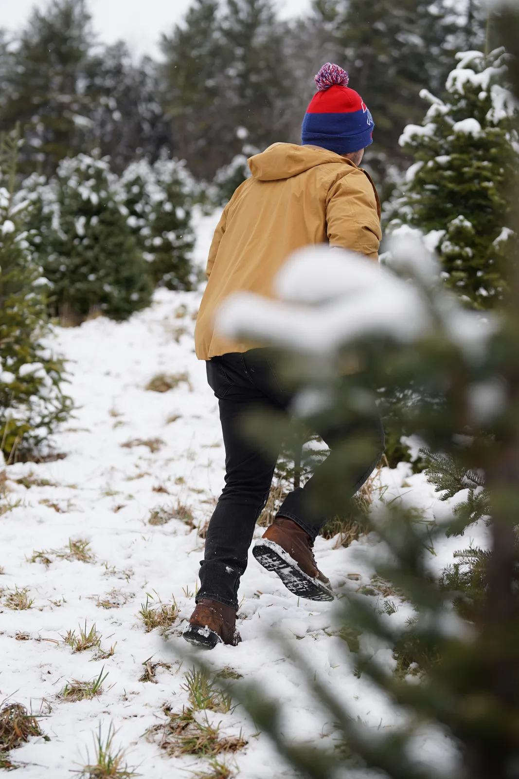Person in tan jacket and blue beanie with pom-pom walking through snowy tree farm.