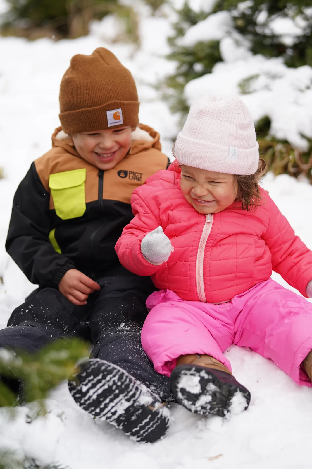 Two children in winter gear sitting in snow, one holding a snowball, evergreens nearby.