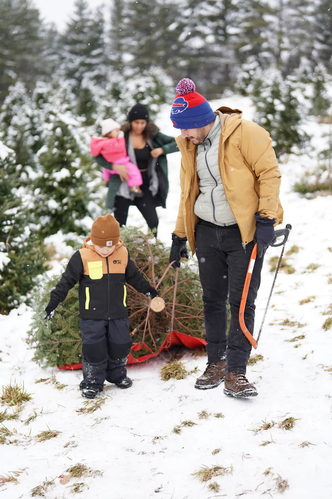 Three people in winter coats with evergreen on red sled among snow-dusted trees.