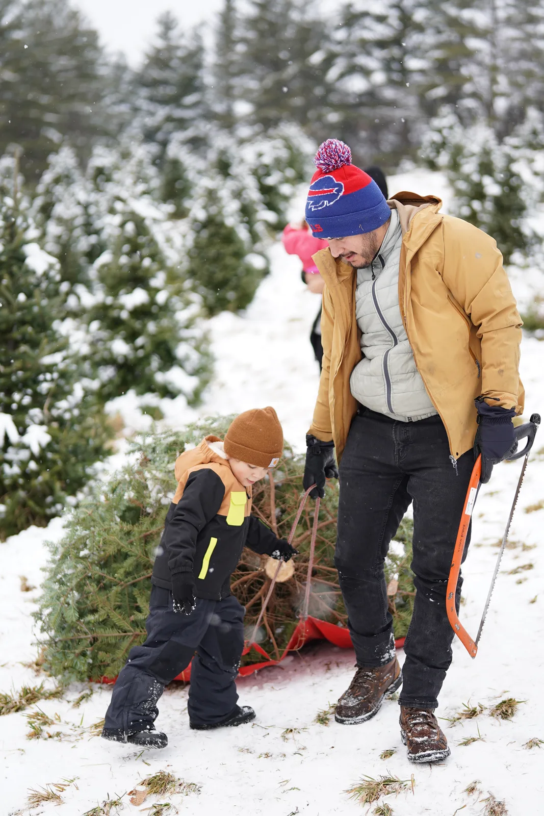 Two people in winter coats adjusting evergreen on red sled in snow.