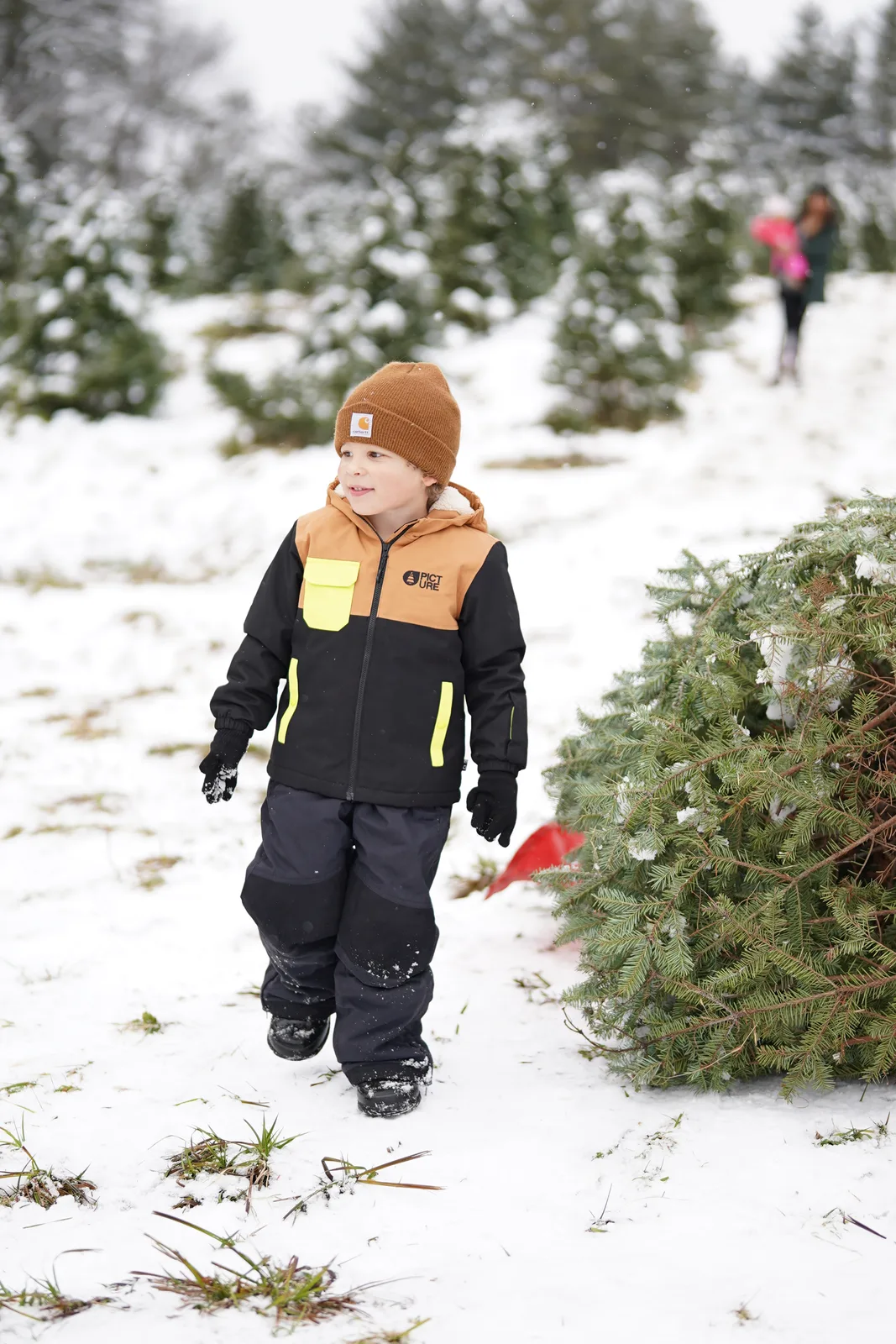 Child in brown beanie and black jacket with yellow accents walking past evergreen on snow.