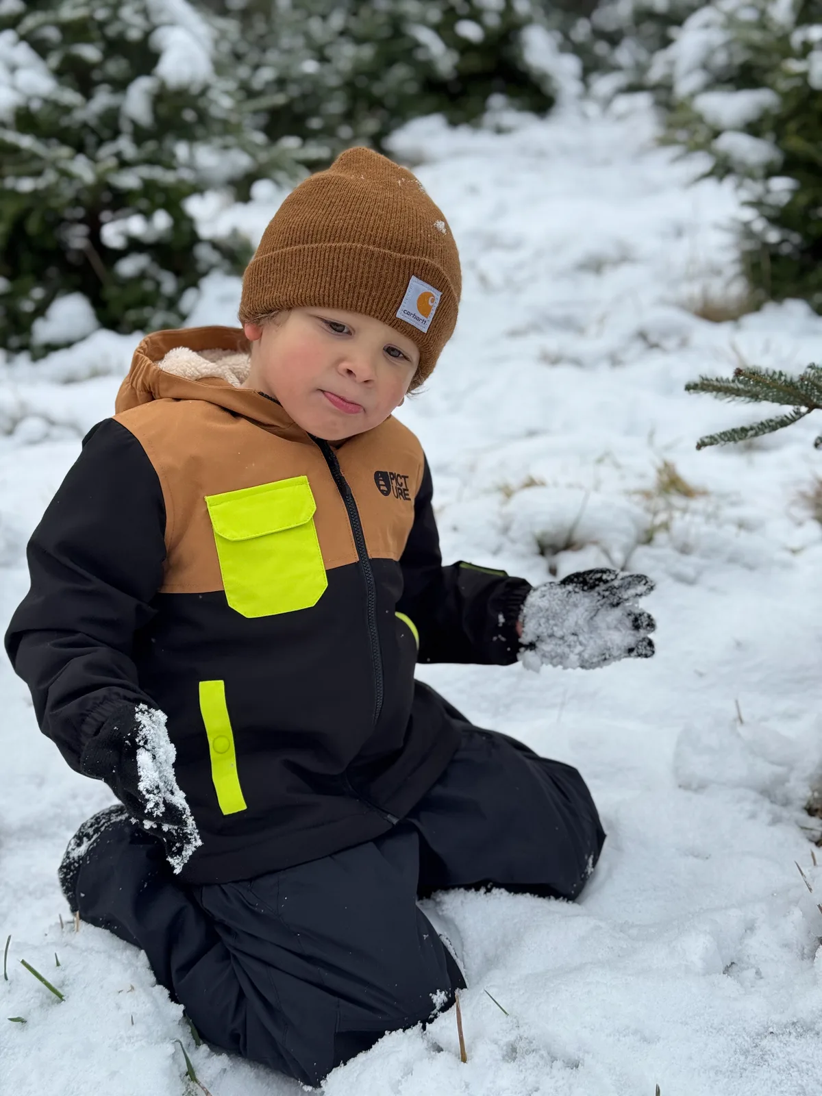 Child in brown beanie and black snowsuit with yellow accents holding snow in snowy forest