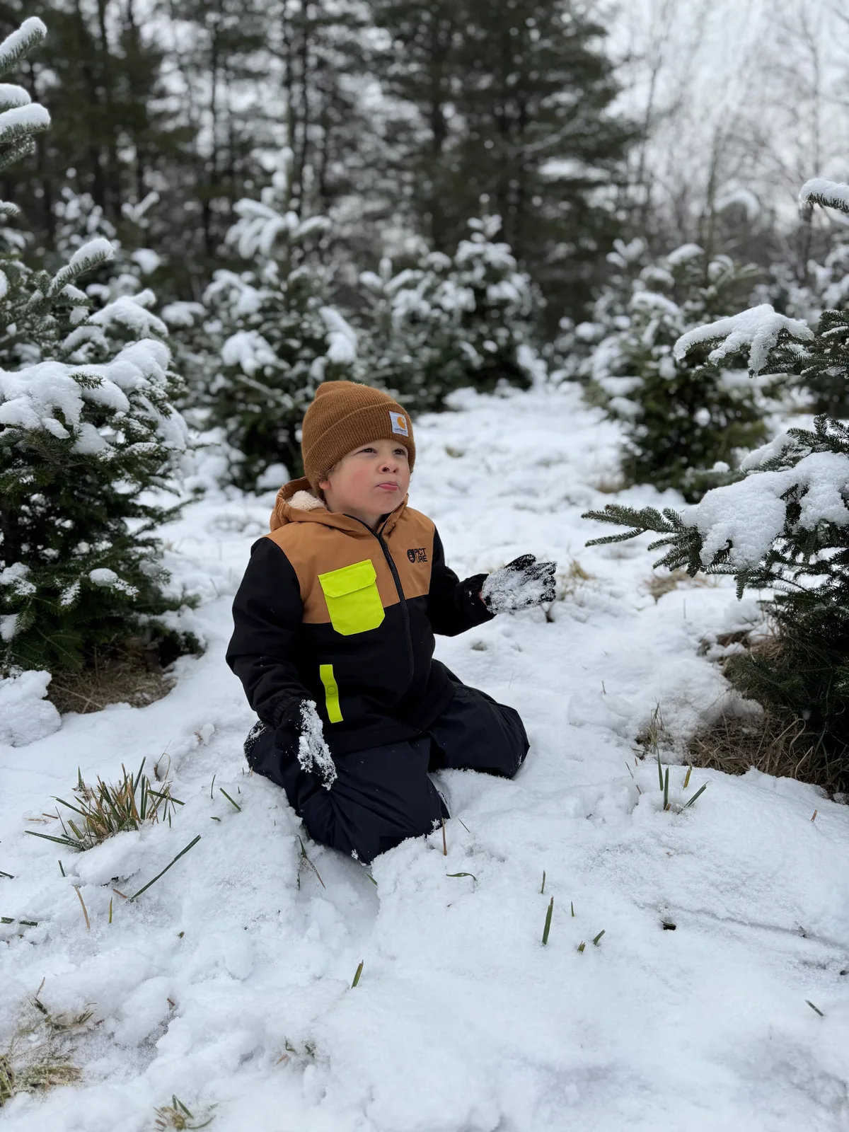Child in brown beanie and black snowsuit with yellow accents holding snowball among trees
