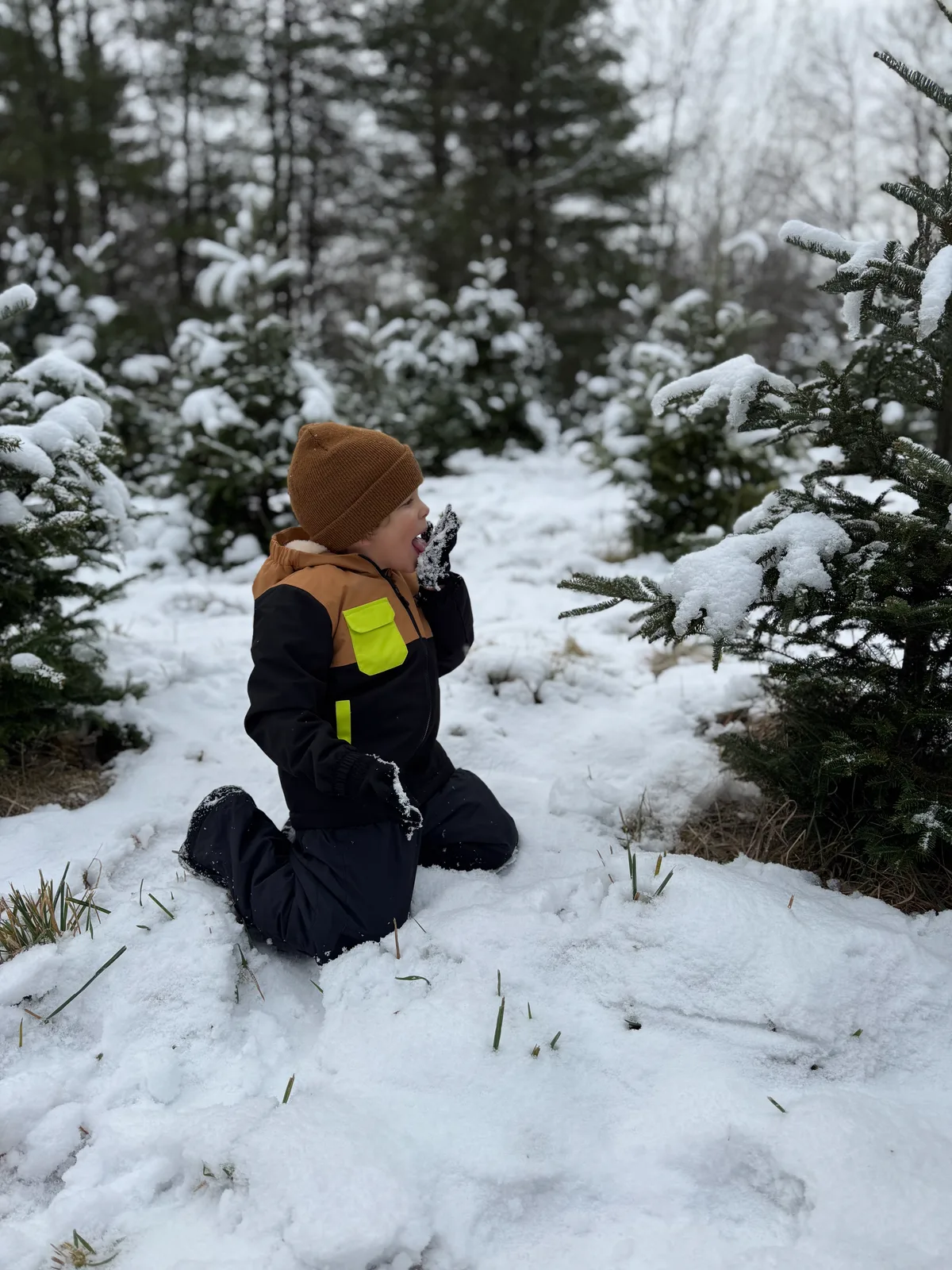 Child in brown beanie and black snowsuit with yellow accents eating snow by snow-covered evergreens