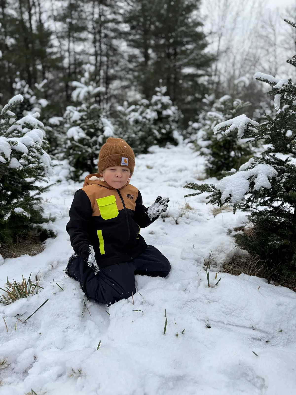 Child in brown beanie and black snowsuit with yellow accents holding snow in snowy tree farm