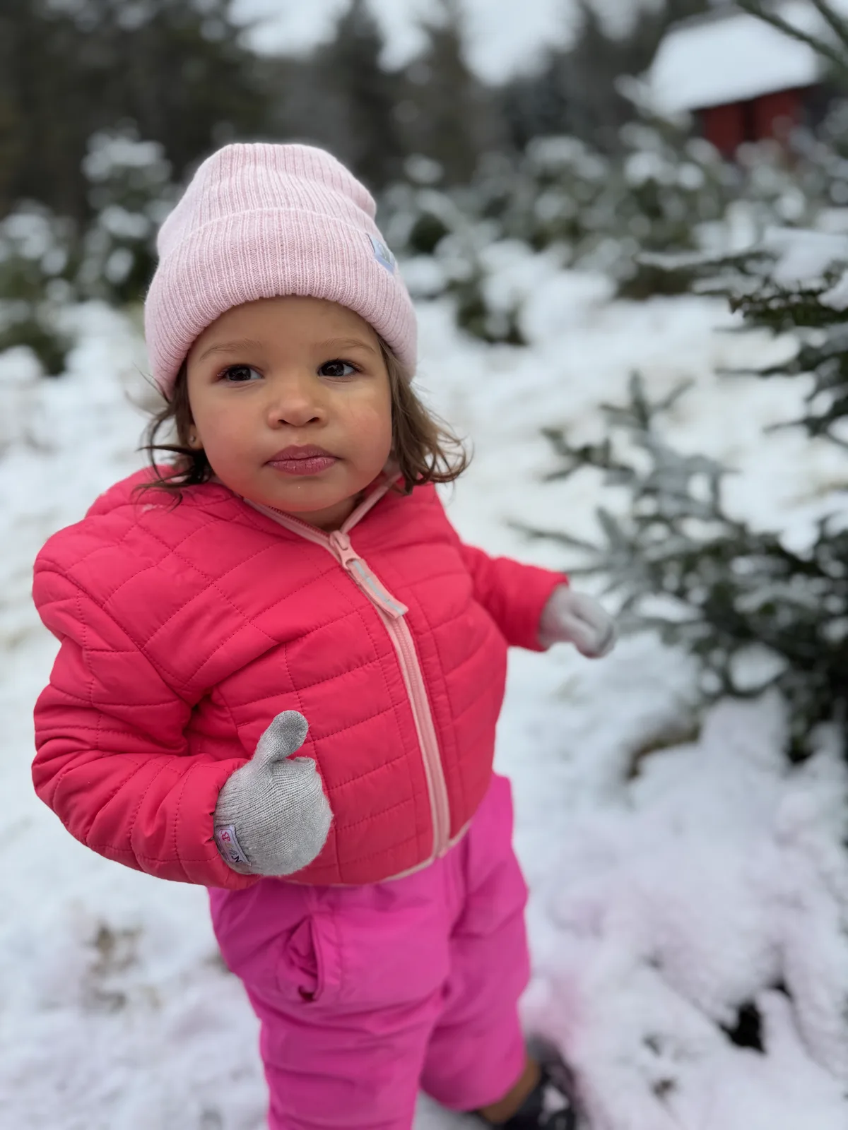 Child in pink beanie, jacket, and snowsuit with gray gloves among snow-dusted evergreens.