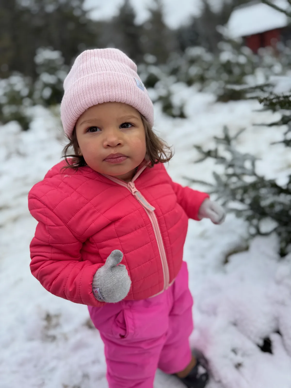 Child in pink beanie, jacket, and snowsuit with gray gloves in snowy tree farm.