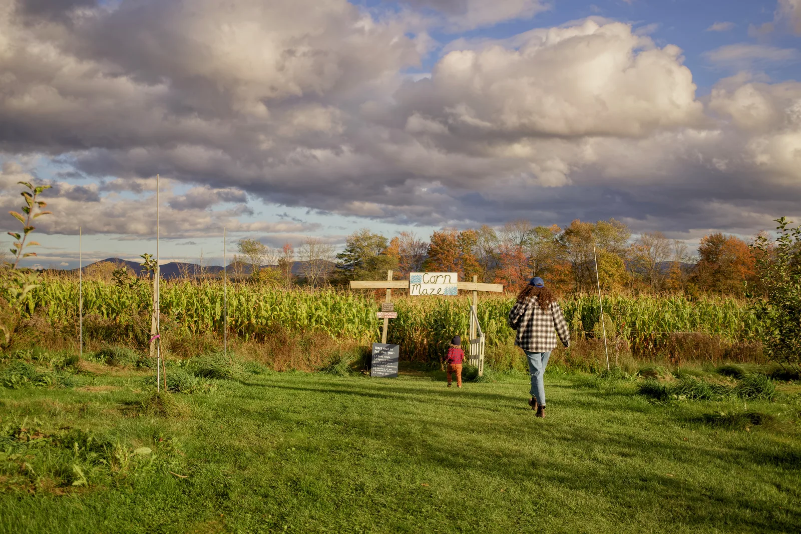 Two people walking on grass path toward corn maze under cloudy sky
