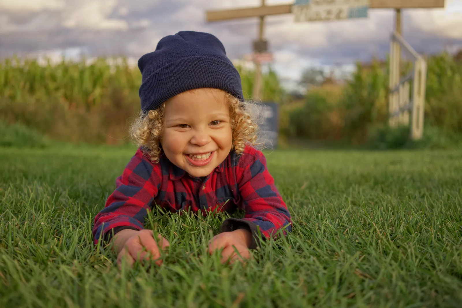 Child in red plaid shirt and blue beanie lying on green grass with corn maze behind