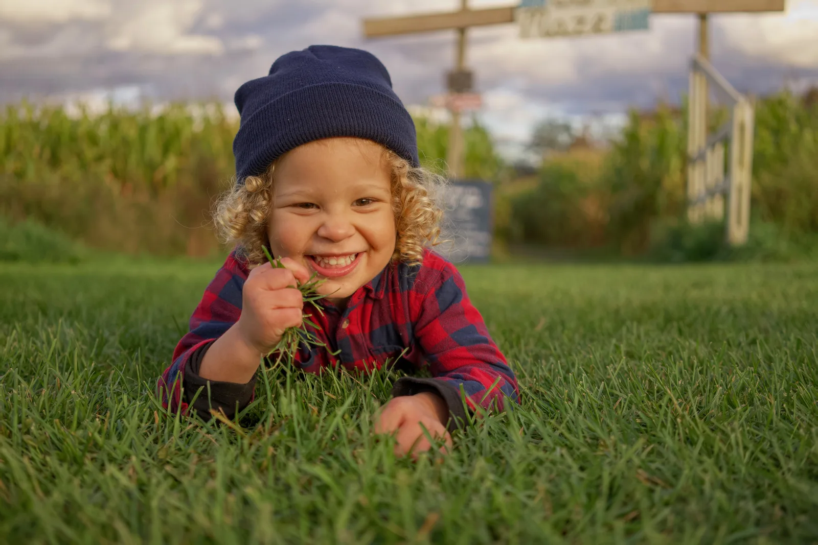 Child in red plaid shirt and blue beanie holding grass on green field