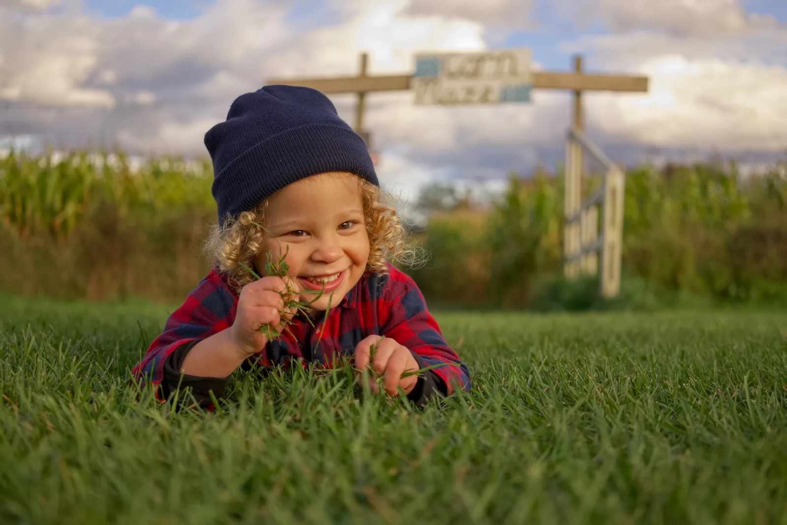 Child in red plaid shirt and dark beanie holding grass on green field with corn maze sign