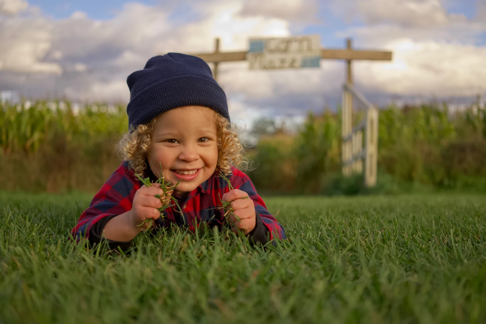 Child in red plaid shirt and dark beanie holding grass on green field with corn maze