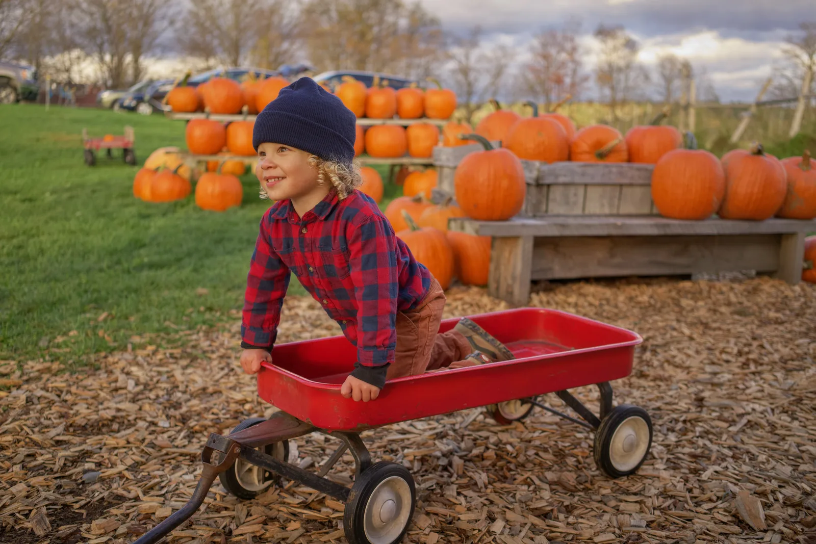 Child in red wagon on wood chips with pumpkins and grassy field behind