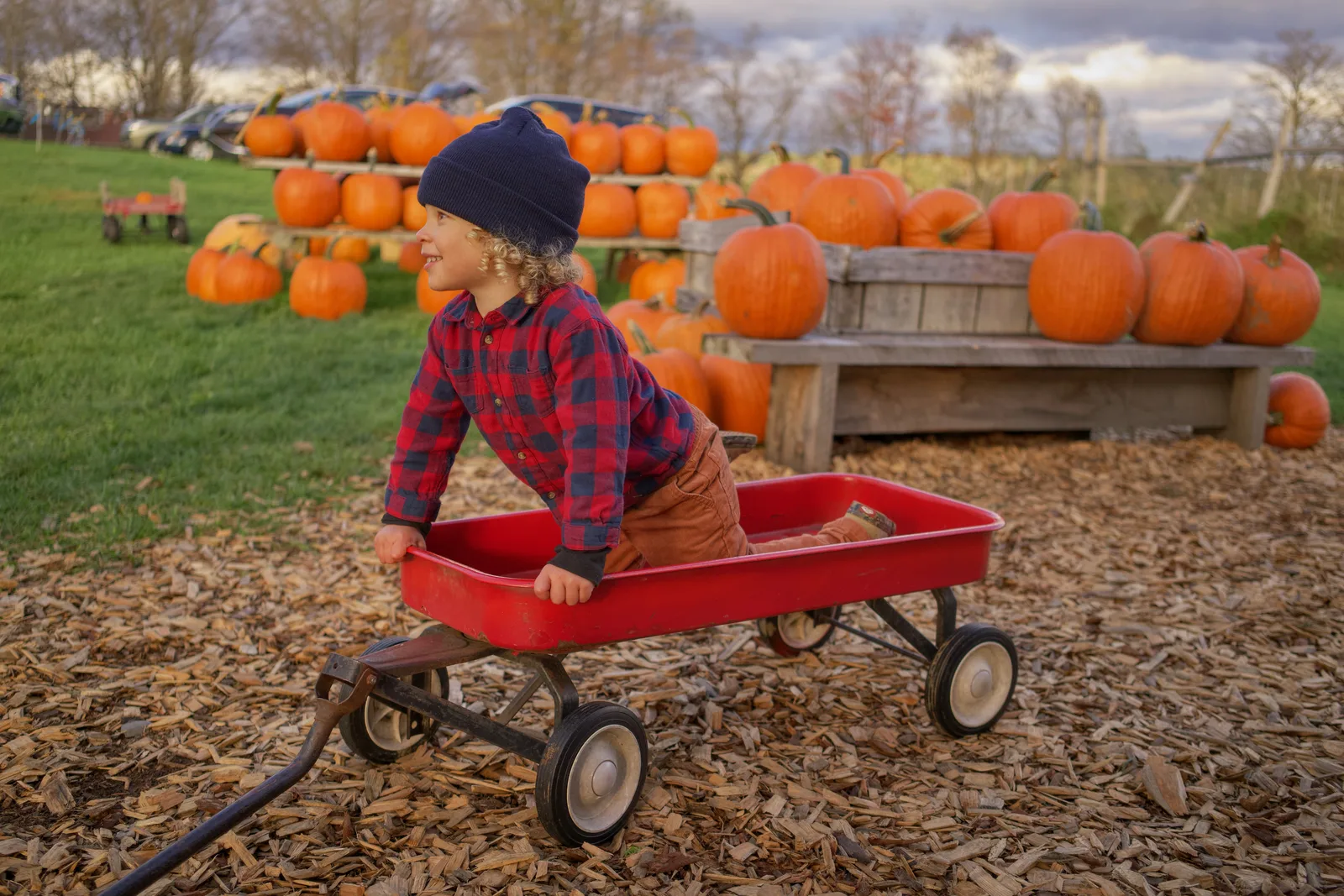 Child in red wagon on wood chips, pumpkins stacked in background