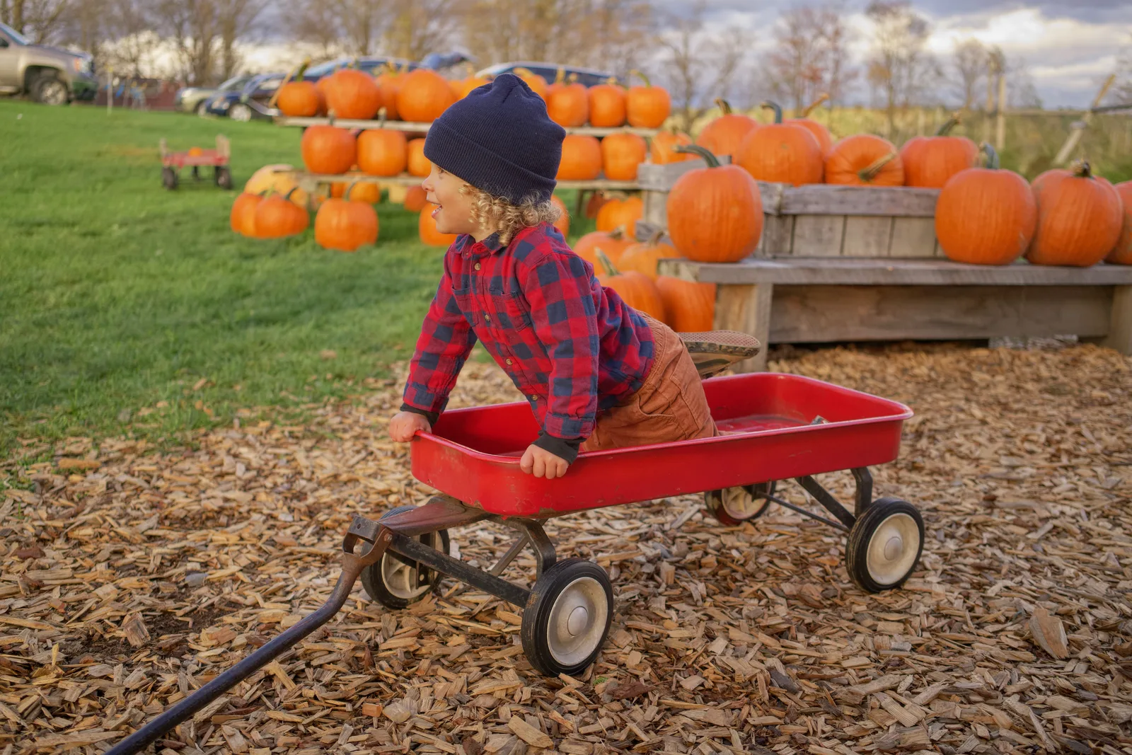 Child in navy beanie and red plaid shirt pulling red wagon on wood chips, pumpkins behind