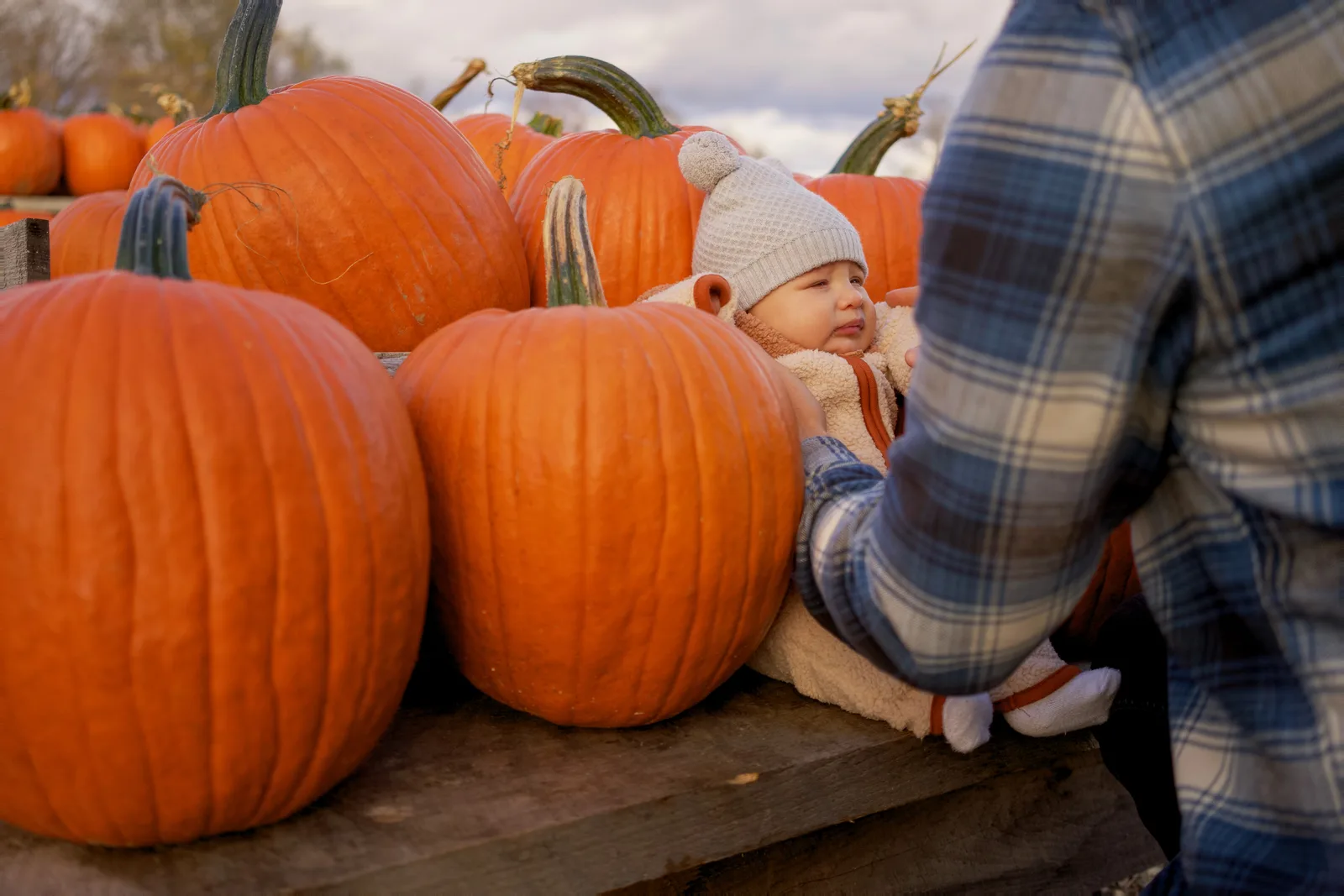 Child in white hat and cream onesie held near large orange pumpkins on wooden display