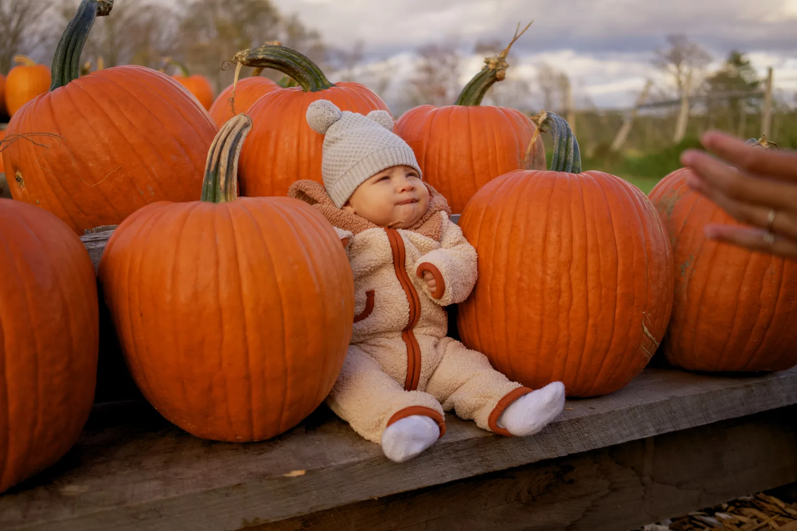 Baby in cream bear suit and gray beanie seated among large orange pumpkins, hand reaching in