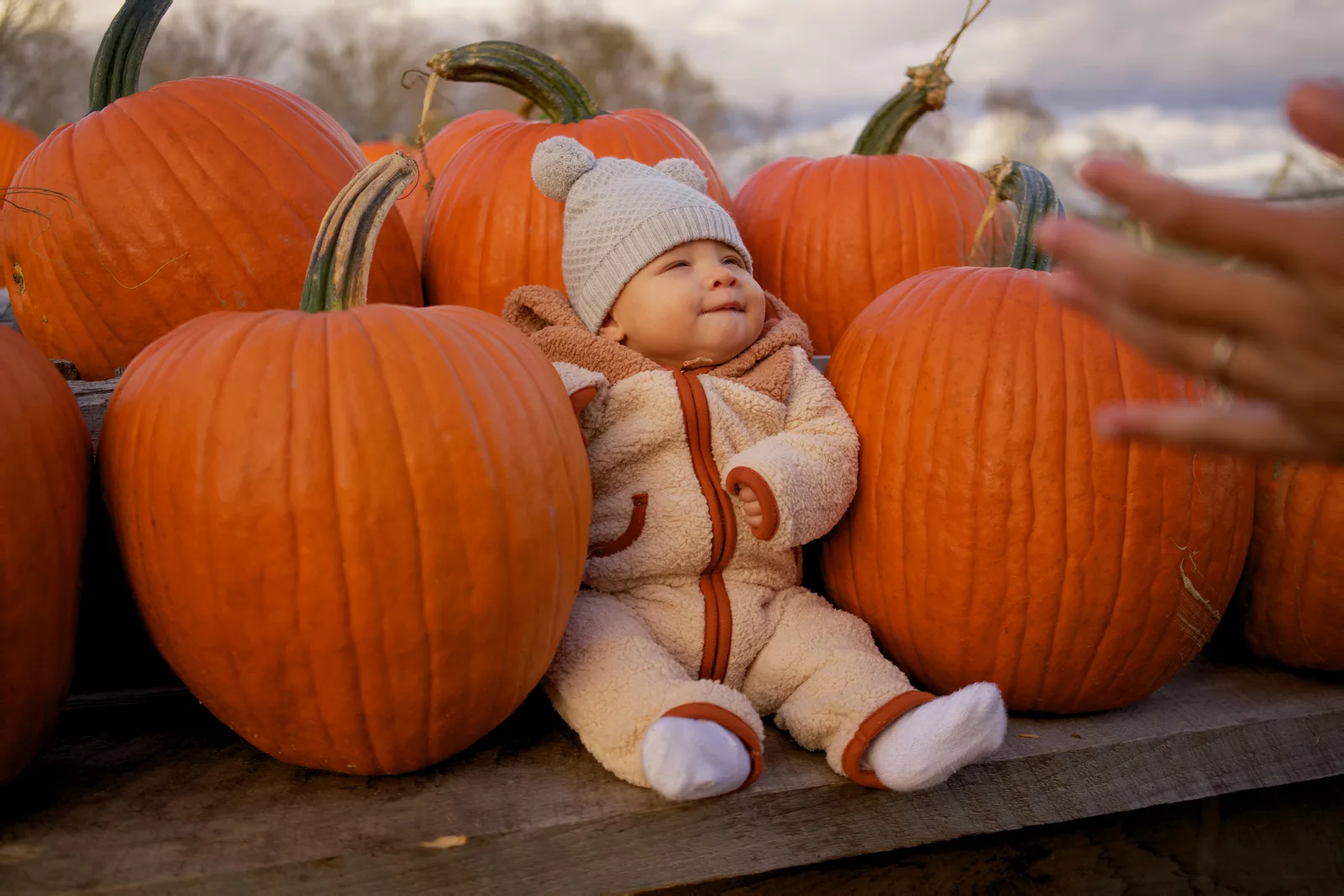 Child in white hat and cream onesie sitting between large orange pumpkins on wooden display