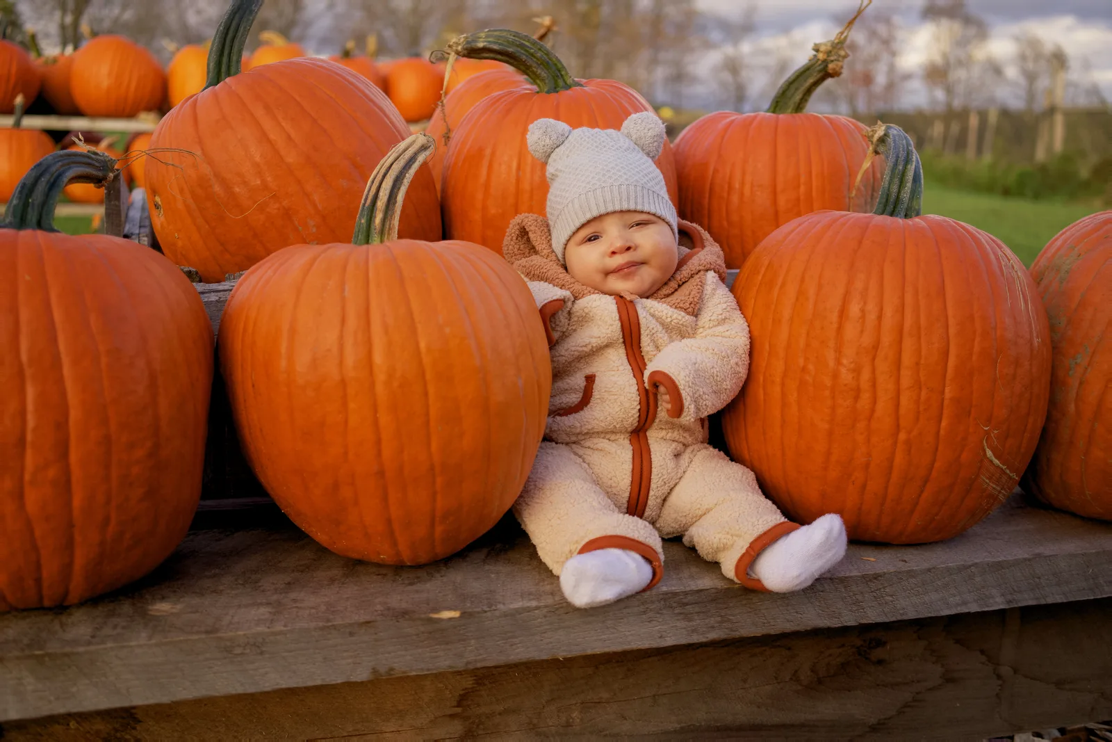 Child in white hat and cream onesie sitting beside large orange pumpkins on wooden display