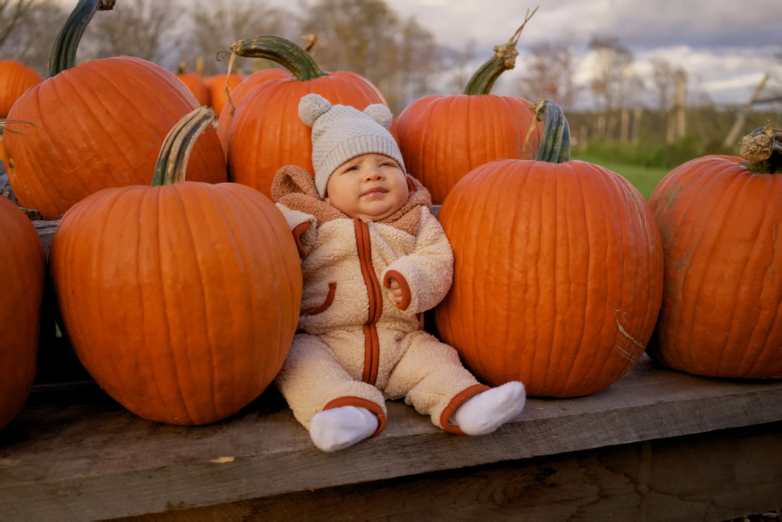 Child in white hat and cream onesie sitting beside large orange pumpkins on wooden display