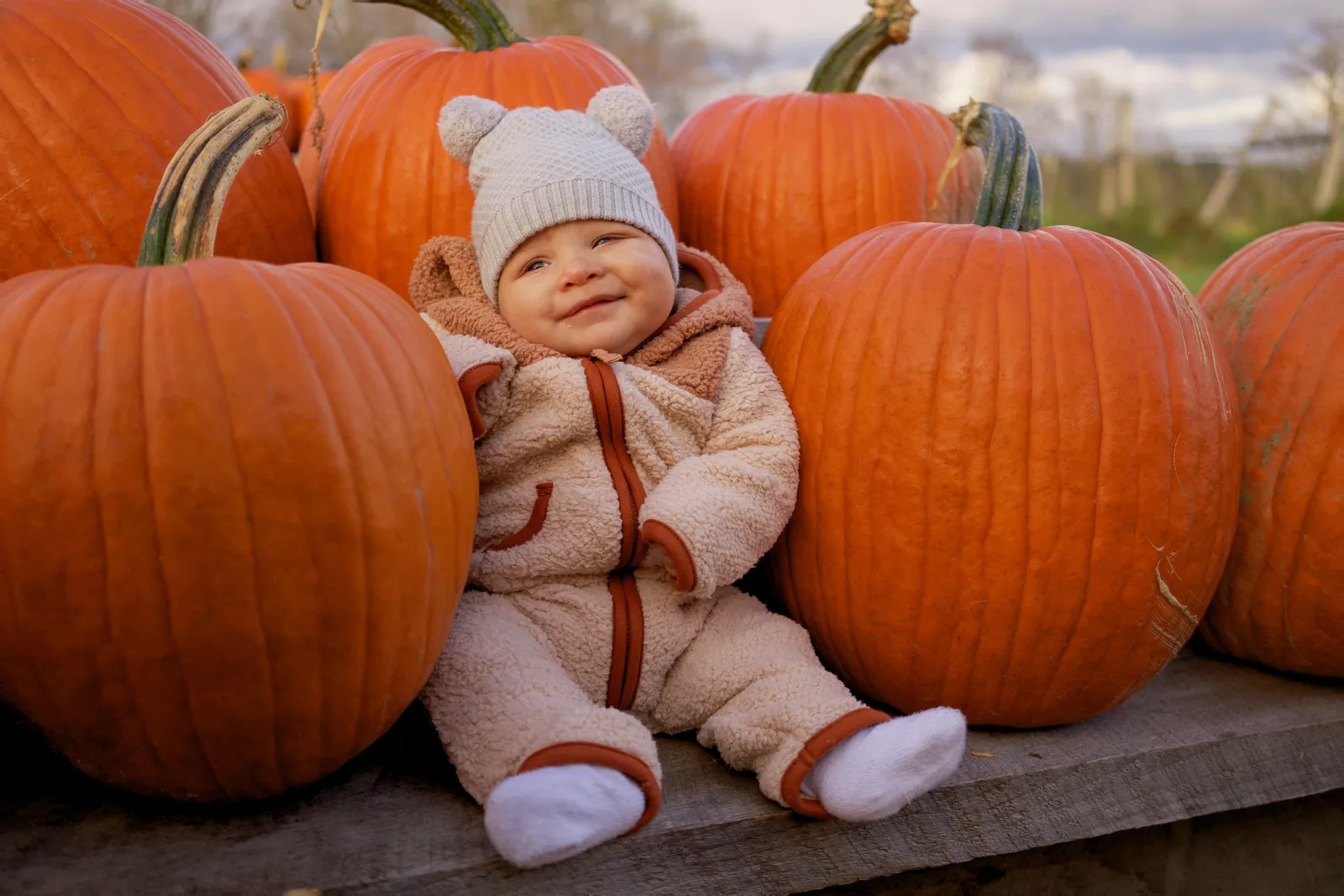 Baby in cream bear suit and gray beanie seated among large orange pumpkins, smiling