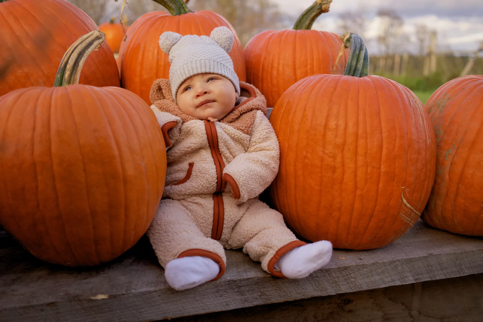 Child in white beanie and bear-hooded onesie sitting among large orange pumpkins on a wooden platform