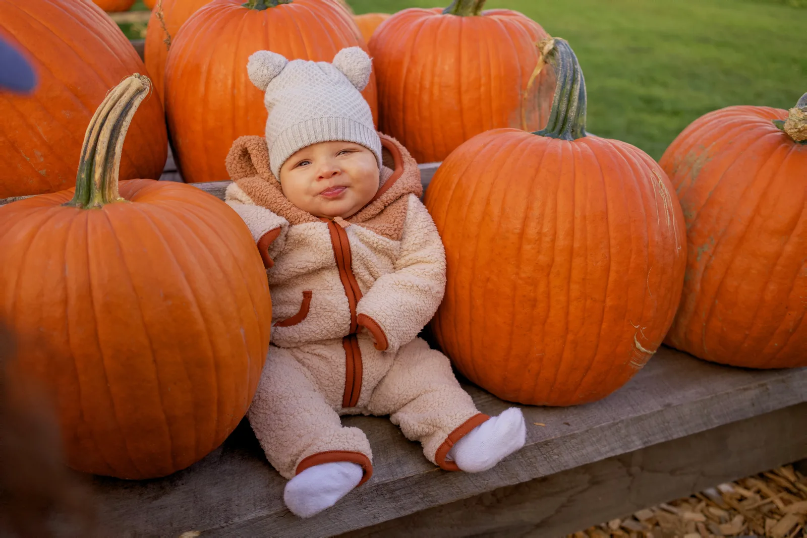 Child in white beanie and bear-hooded onesie sitting on wooden platform with large orange pumpkins