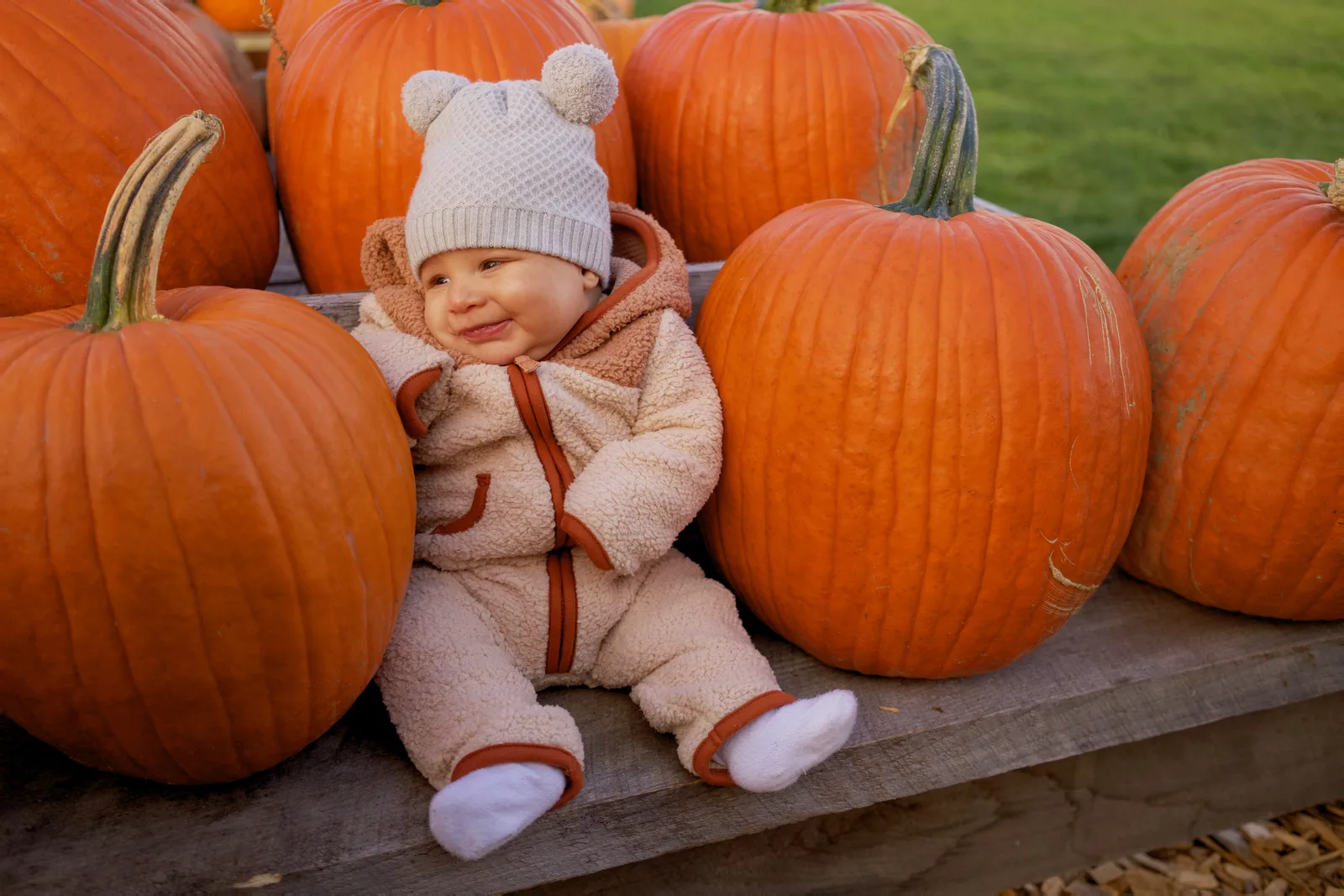 Child in white beanie and bear-hooded onesie sitting on wooden platform beside large orange pumpkins