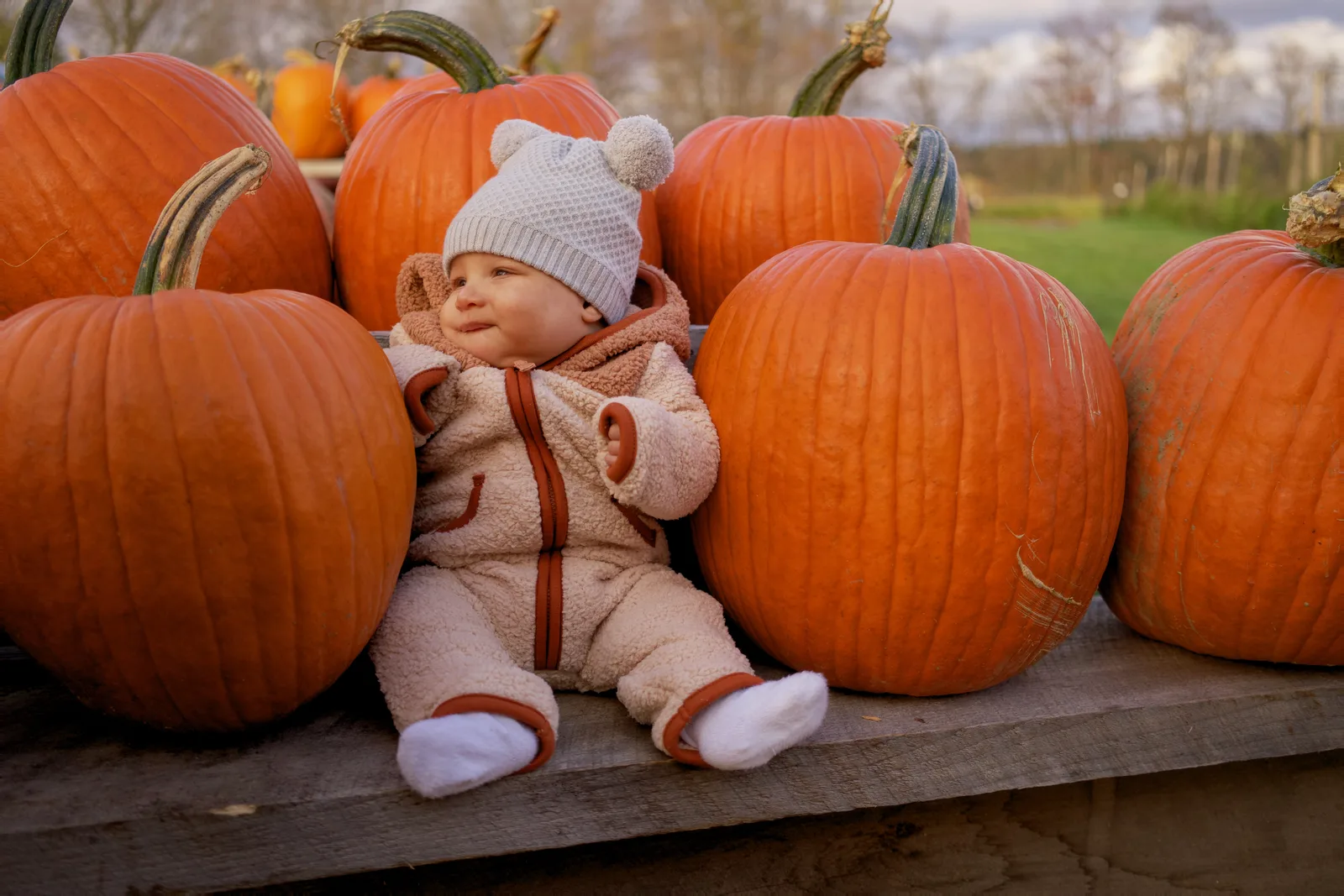 Child in white beanie and bear-hooded onesie sitting on wooden platform with large orange pumpkins around
