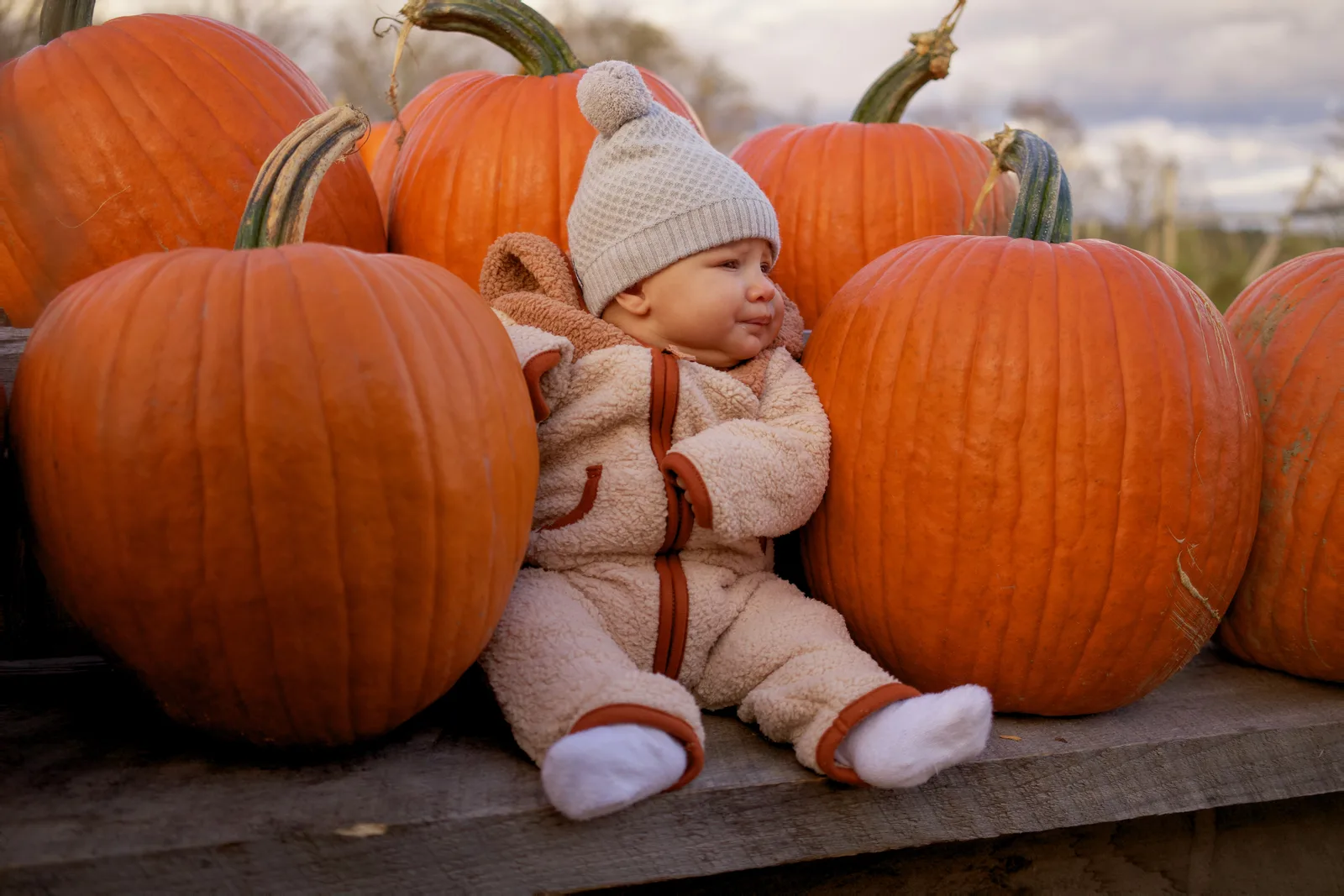 Child in white beanie and bear-hooded onesie sitting on wooden platform among large orange pumpkins