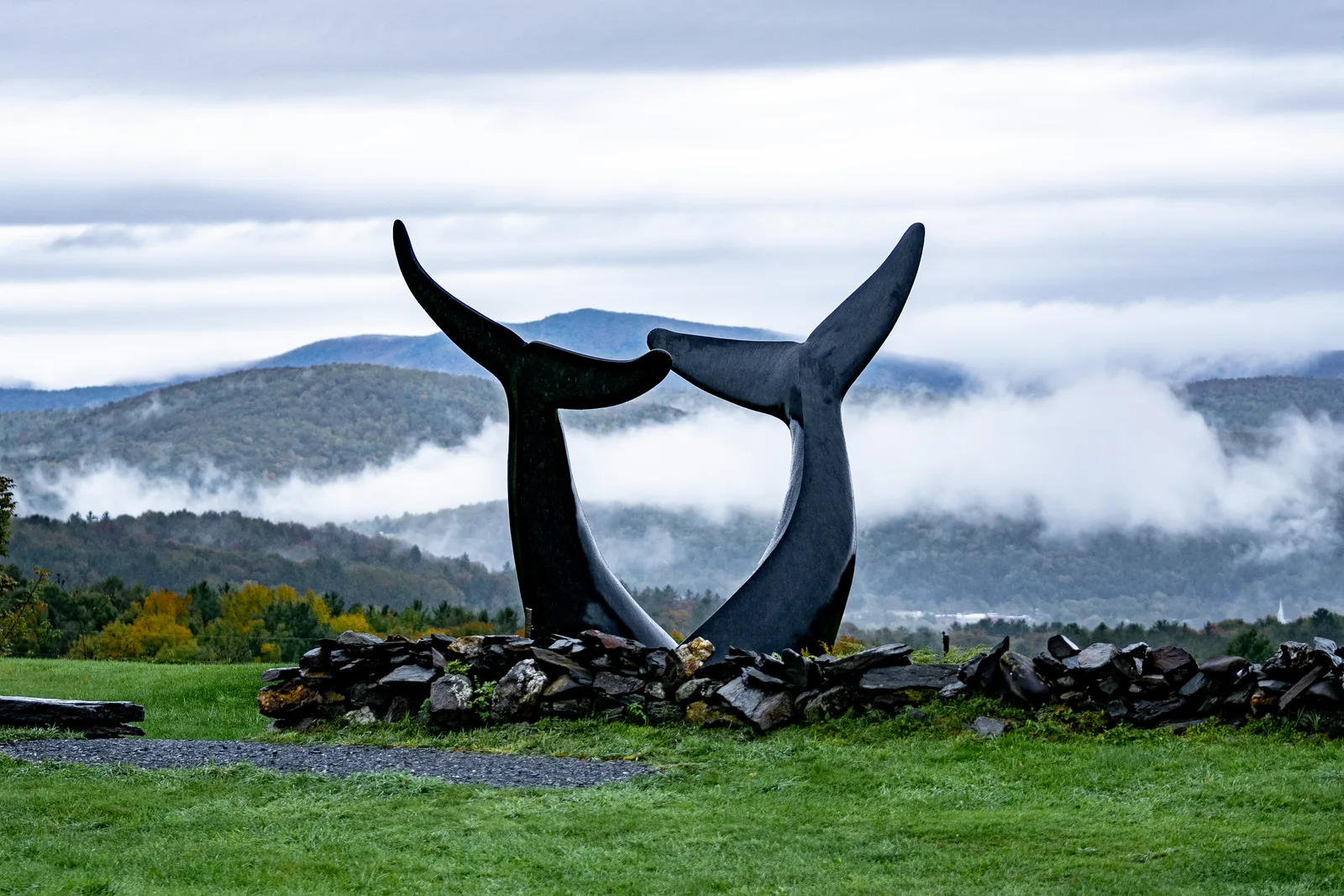 Whale Dance framed against low clouds and forested hills in Randolph, Vermont