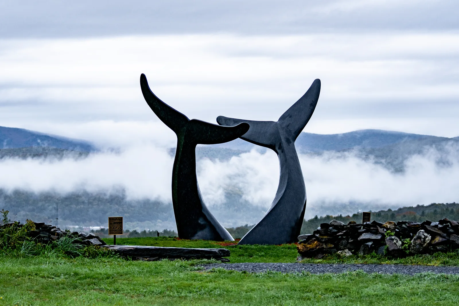 Two bronze whale tails of Whale Dance rising above grass with misty mountains behind them
