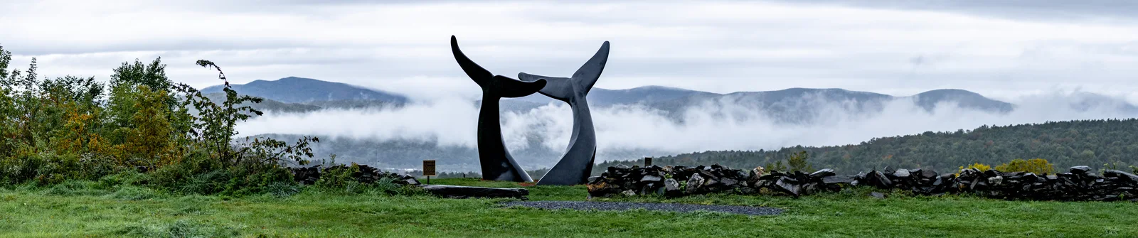 Wide view of Whale Dance on a grassy hill beneath bands of fog and cloud
