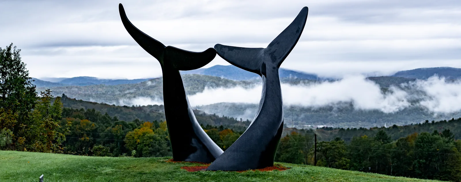 Whale Dance centered in a panoramic view of green fields, autumn trees, and misty ridges
